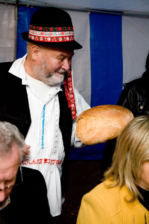 Friss kenyér